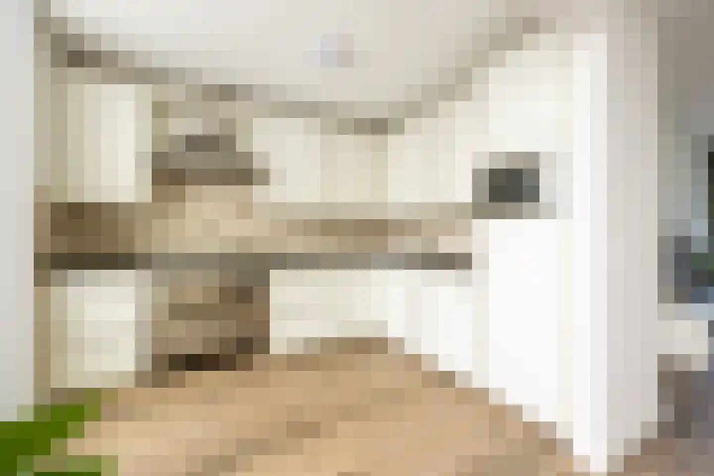 Willibrordusweg 12 Esch thumbnail 11