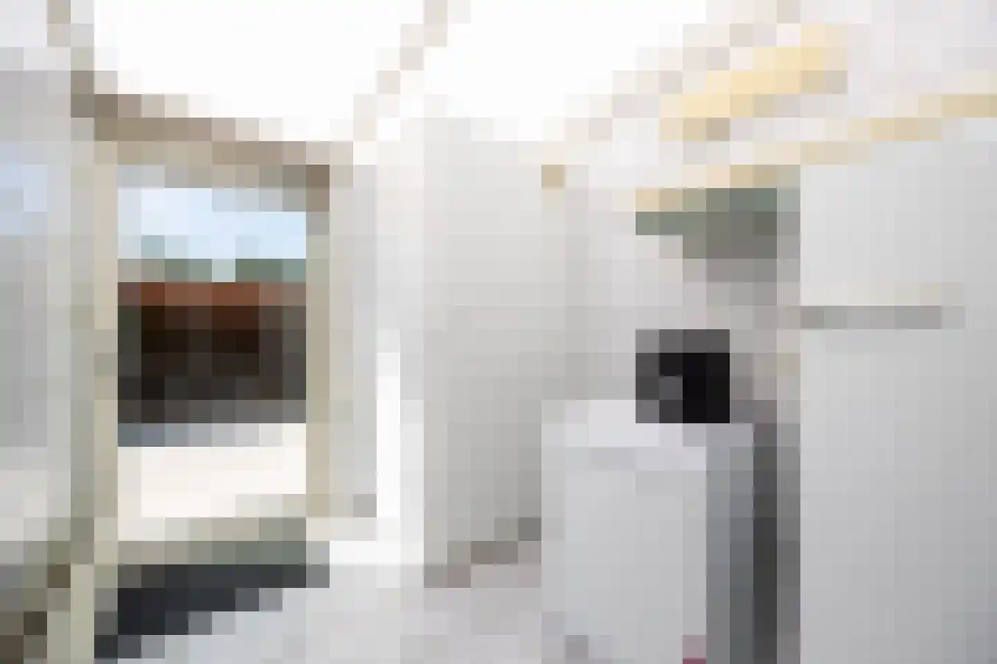 Willibrordusweg 12 Esch thumbnail 13