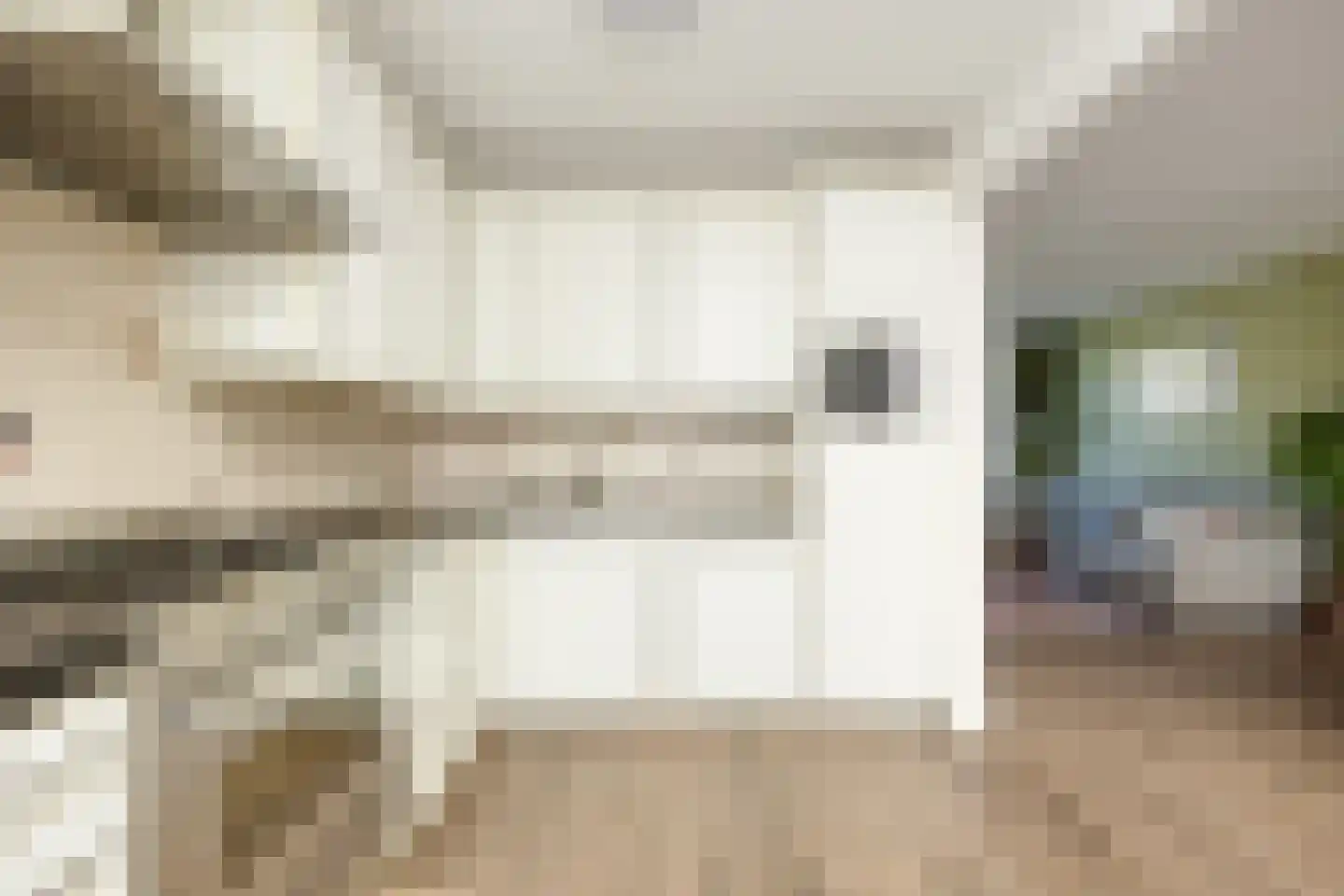 Willibrordusweg 12 Esch thumbnail 15