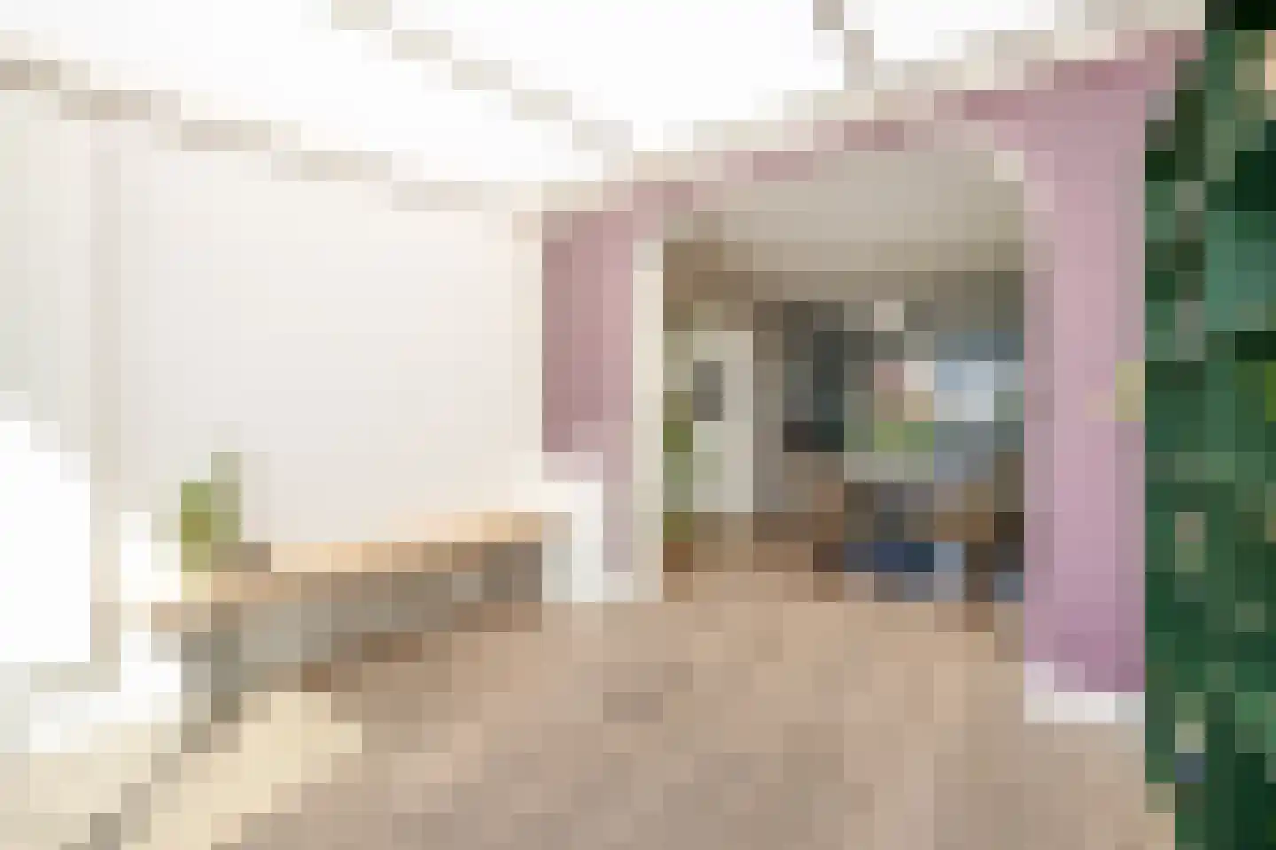 Willibrordusweg 12 Esch thumbnail 9