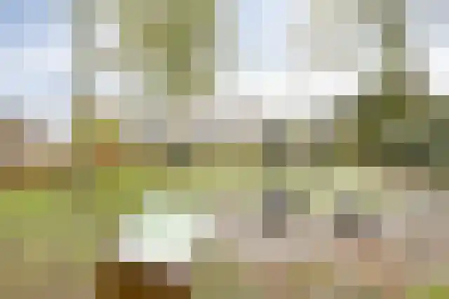 Willibrordusweg 13 Esch thumbnail 4