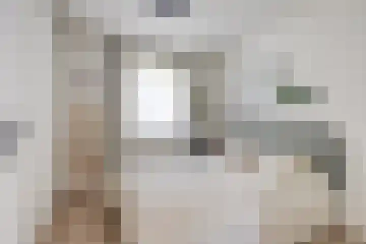 Willibrordusweg 195 Oss thumbnail 104