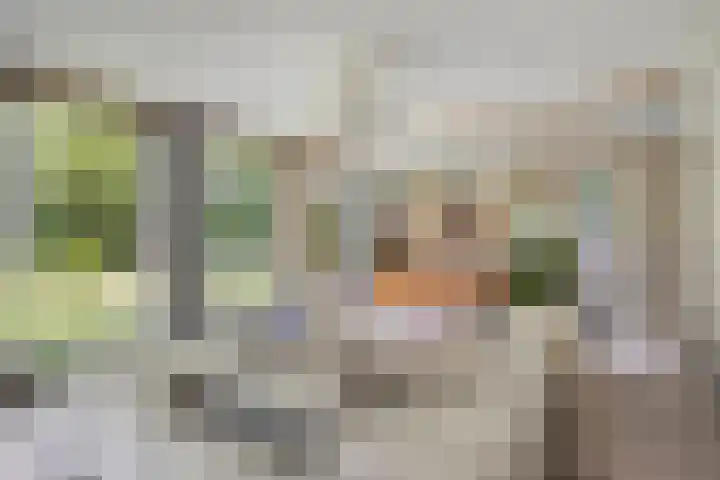 Willibrordusweg 195 Oss thumbnail 11