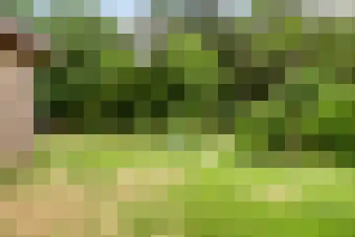 Willibrordusweg 195 Oss thumbnail 12