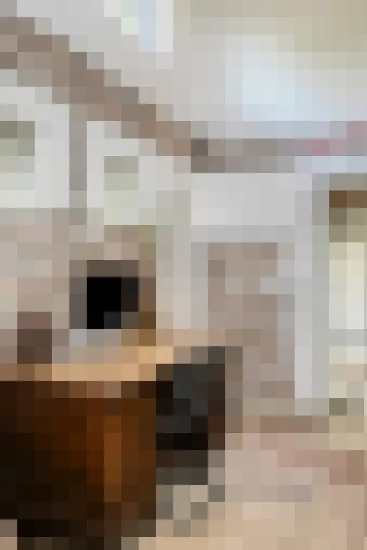 Willibrordusweg 195 Oss thumbnail 121