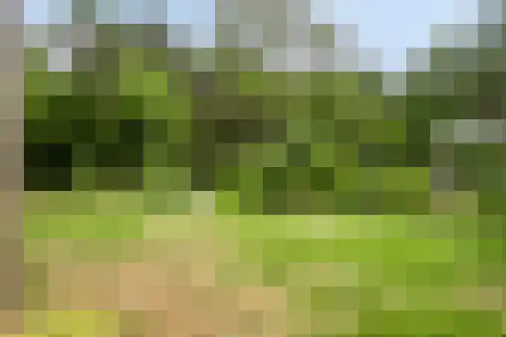 Willibrordusweg 195 Oss thumbnail 13
