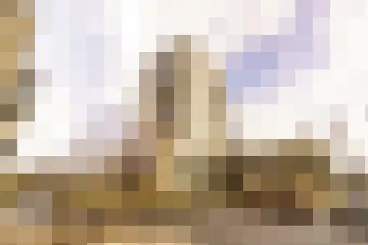 Willibrordusweg 195 Oss thumbnail 131
