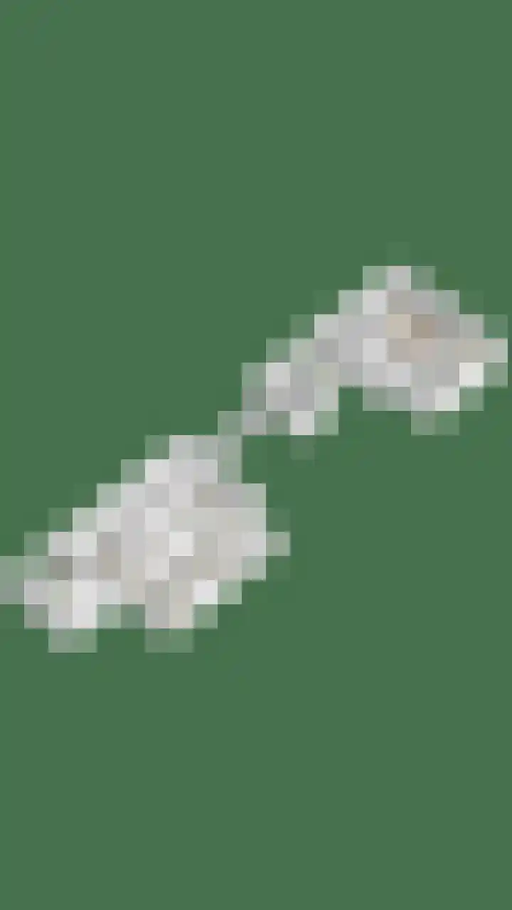 Willibrordusweg 195 Oss thumbnail 139