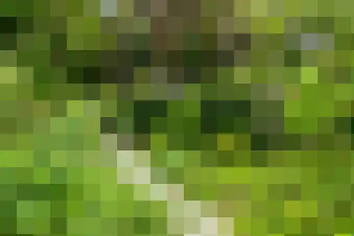 Willibrordusweg 195 Oss thumbnail 14