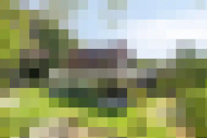 Willibrordusweg 195 Oss thumbnail 147
