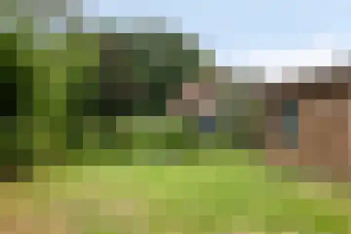 Willibrordusweg 195 Oss thumbnail 16