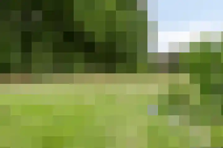 Willibrordusweg 195 Oss thumbnail 17