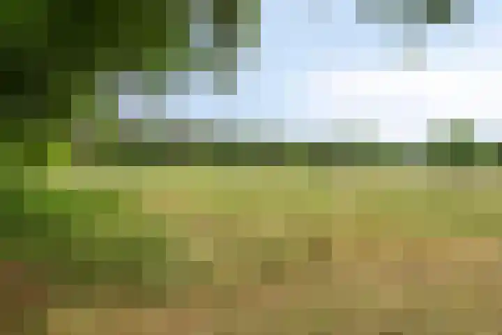 Willibrordusweg 195 Oss thumbnail 18