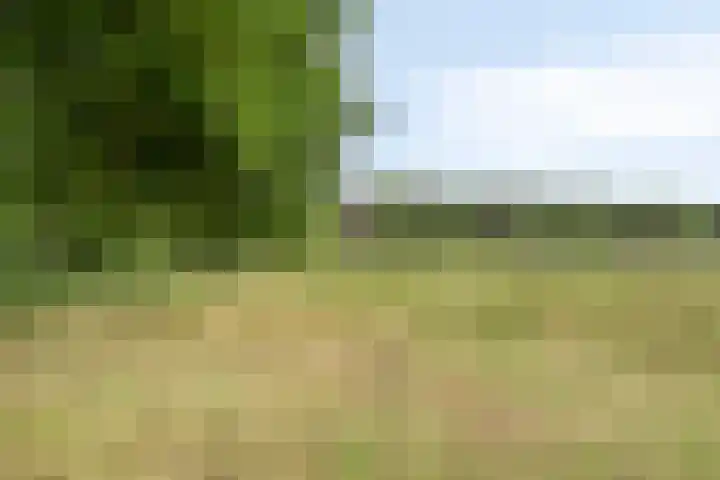 Willibrordusweg 195 Oss thumbnail 19
