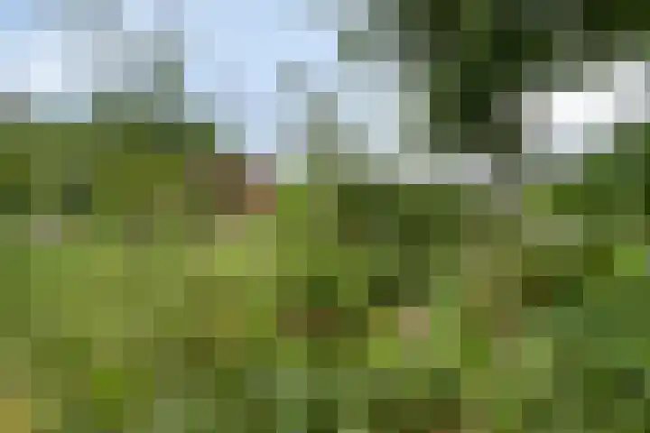 Willibrordusweg 195 Oss thumbnail 20