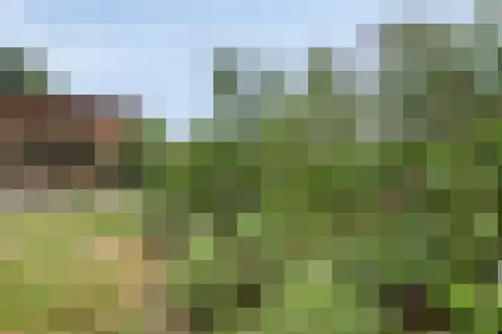 Willibrordusweg 195 Oss thumbnail 23