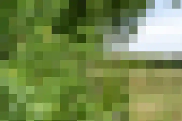 Willibrordusweg 195 Oss thumbnail 24
