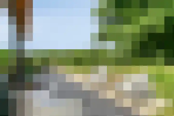 Willibrordusweg 195 Oss thumbnail 25