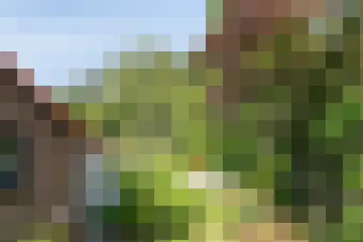 Willibrordusweg 195 Oss thumbnail 30