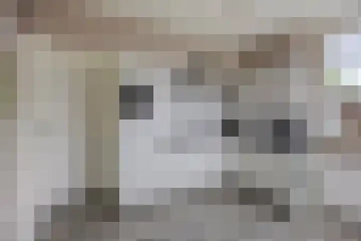 Willibrordusweg 195 Oss thumbnail 38