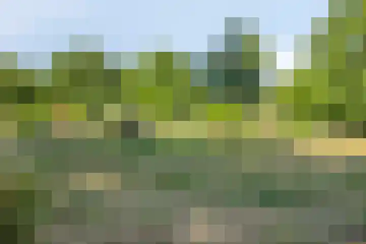 Willibrordusweg 195 Oss thumbnail 39