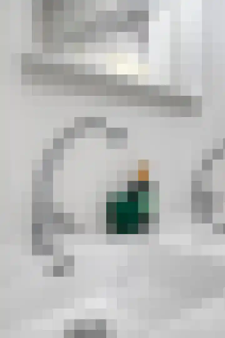 Willibrordusweg 195 Oss thumbnail 47