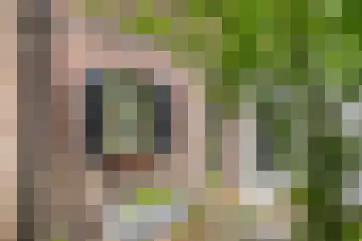 Willibrordusweg 195 Oss thumbnail 5