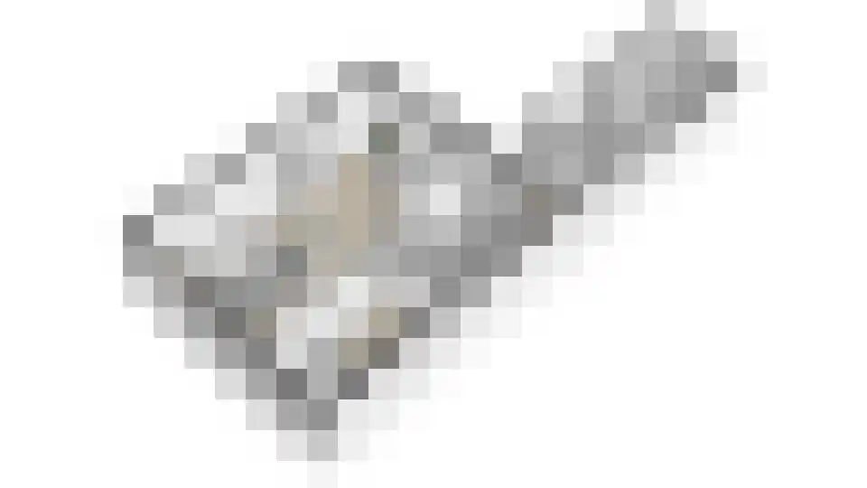 Willibrordusweg 195 Oss thumbnail 50