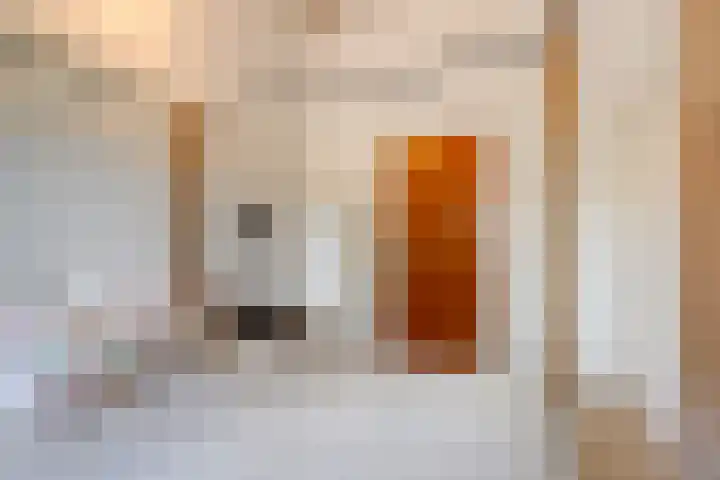 Willibrordusweg 195 Oss thumbnail 58