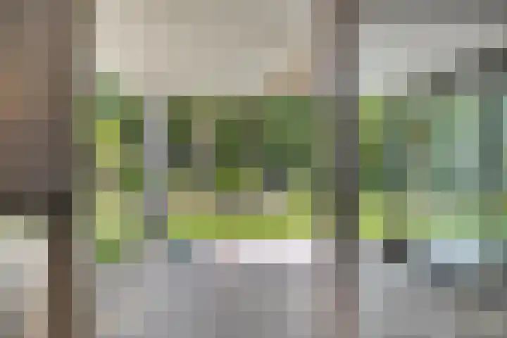 Willibrordusweg 195 Oss thumbnail 68