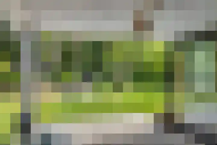 Willibrordusweg 195 Oss thumbnail 69