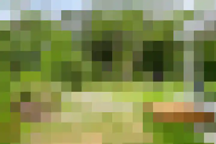 Willibrordusweg 195 Oss thumbnail 70
