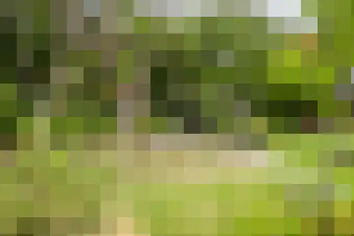 Willibrordusweg 195 Oss thumbnail 71