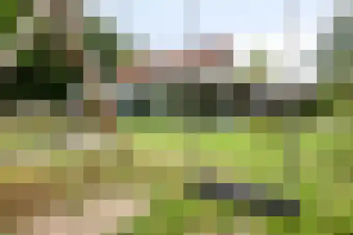 Willibrordusweg 195 Oss thumbnail 72