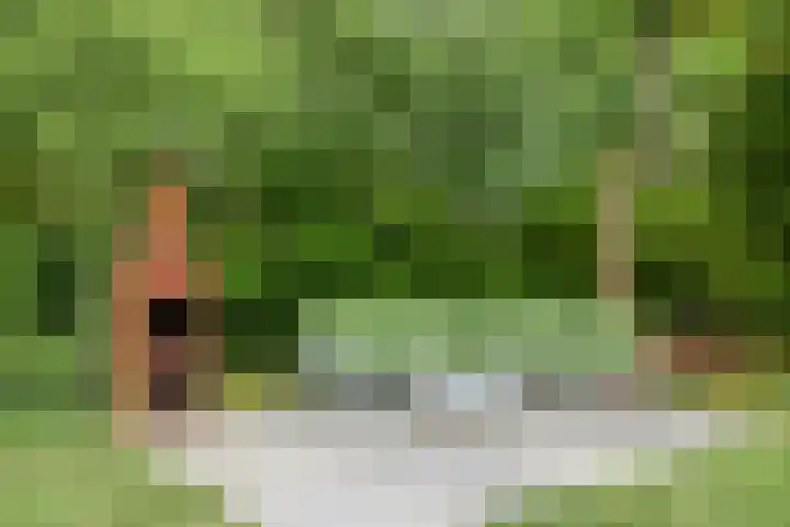 Willibrordusweg 195 Oss thumbnail 74