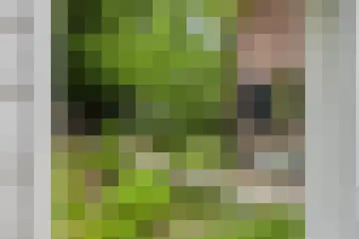 Willibrordusweg 195 Oss thumbnail 75