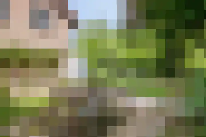 Willibrordusweg 195 Oss thumbnail 77