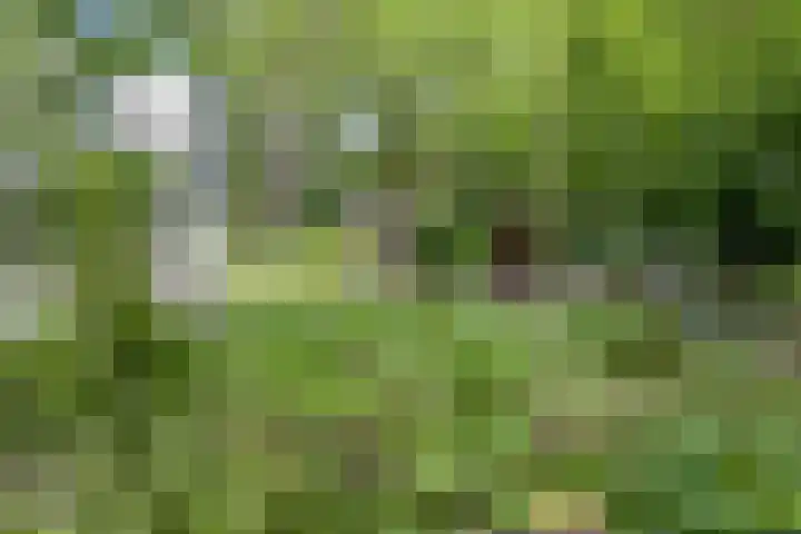 Willibrordusweg 195 Oss thumbnail 78