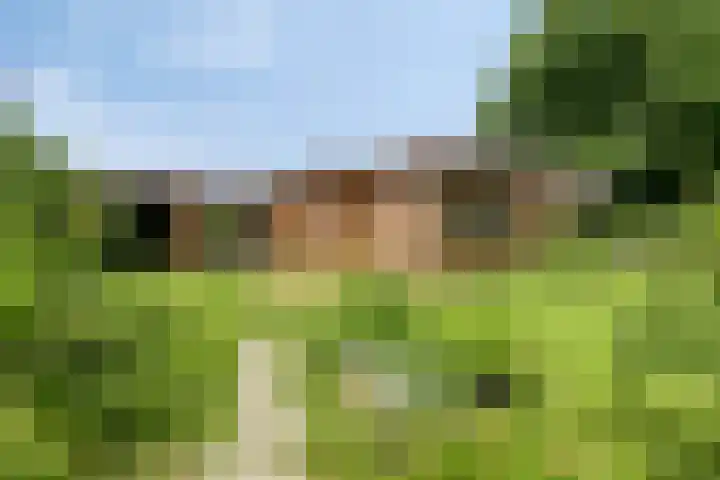 Willibrordusweg 195 Oss thumbnail 79