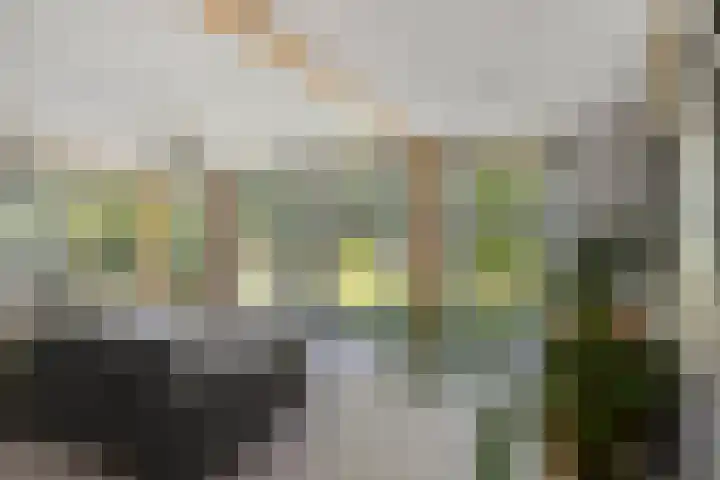 Willibrordusweg 195 Oss thumbnail 8