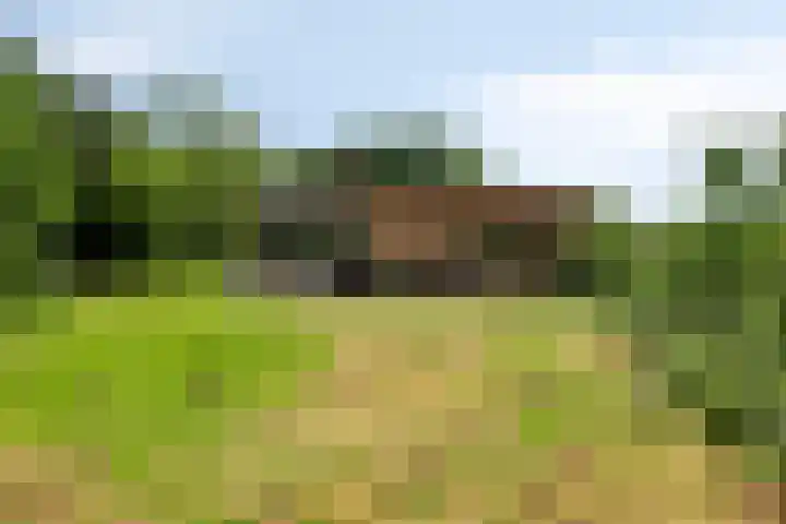 Willibrordusweg 195 Oss thumbnail 81