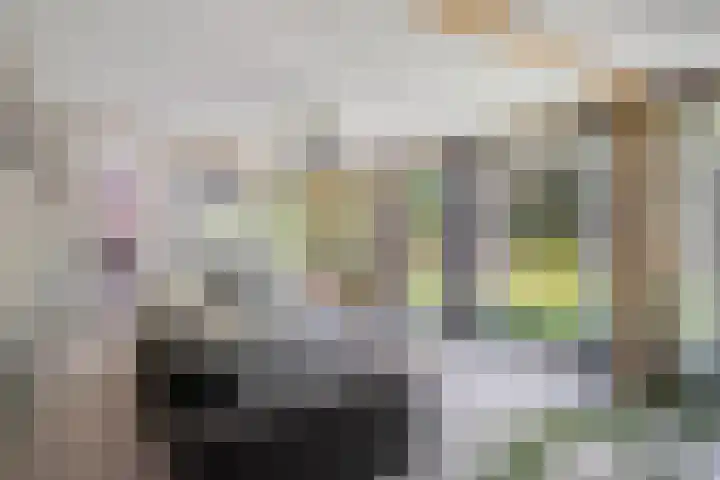 Willibrordusweg 195 Oss thumbnail 9