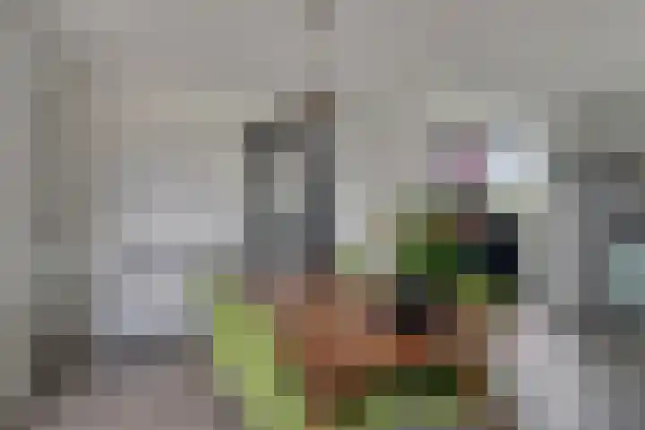 Willibrordusweg 195 Oss thumbnail 96