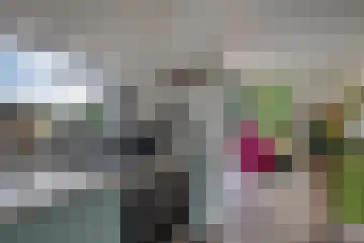 Willibrordusweg 195 Oss thumbnail 98