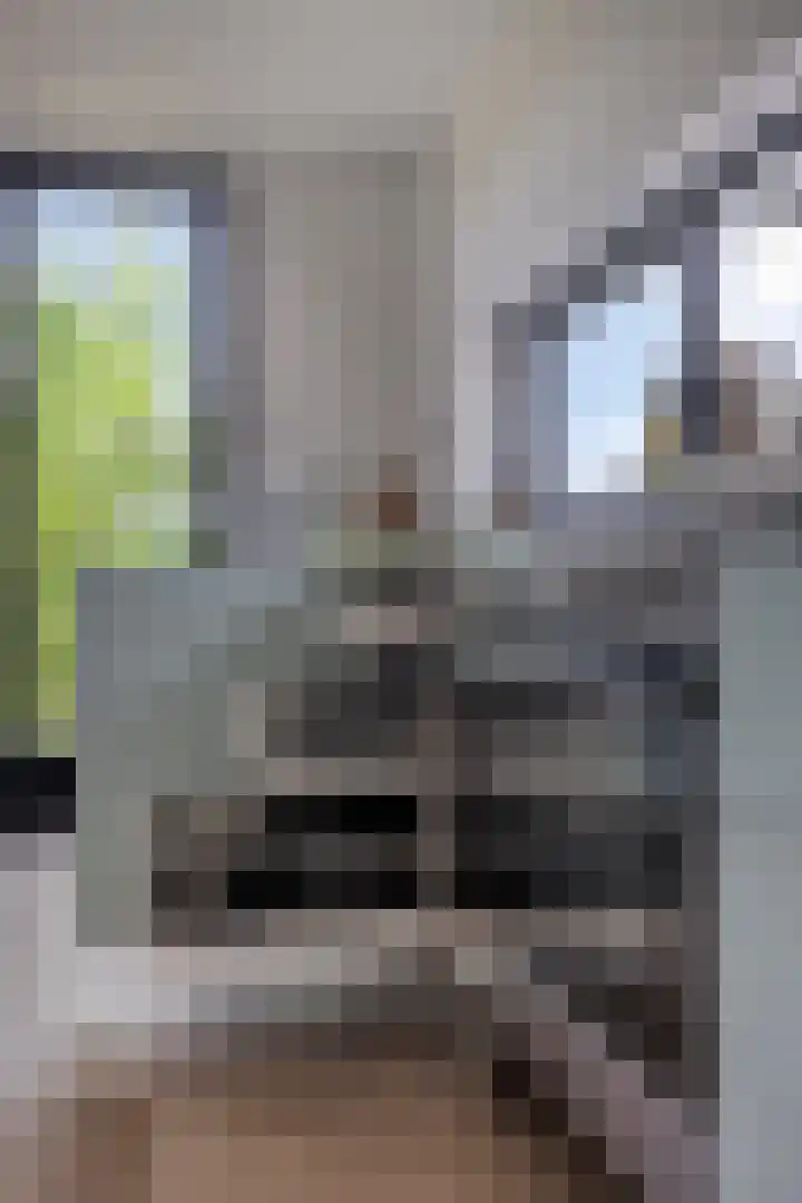 Willibrordusweg 195 Oss thumbnail 99