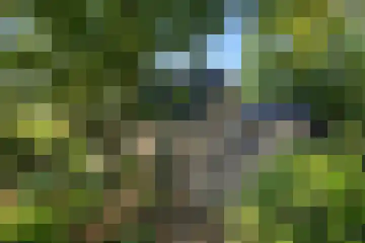 Willibrordusweg 199 dans Oss
