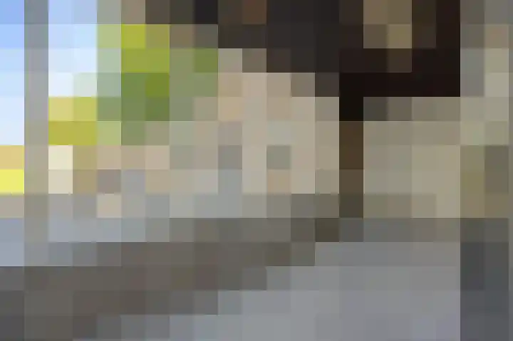 Willibrordusweg 199 Oss thumbnail 12
