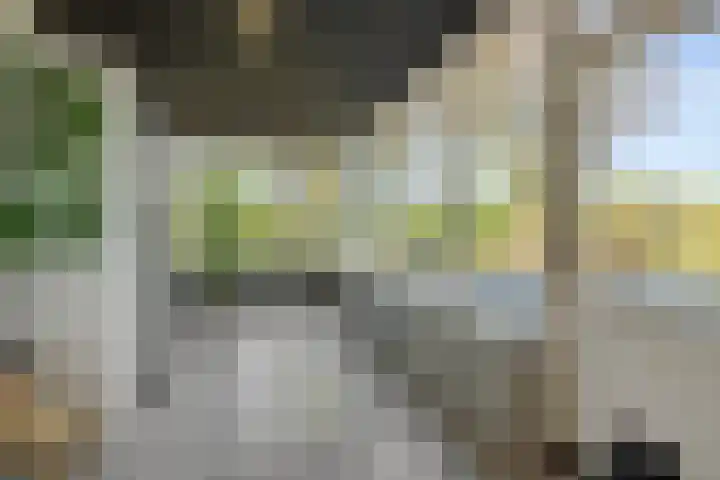 Willibrordusweg 199 Oss thumbnail 13