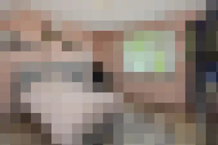 Willibrordusweg 199 Oss thumbnail 16