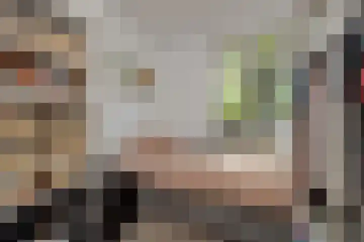 Willibrordusweg 199 Oss thumbnail 17